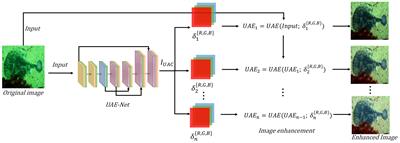 Lightweight underwater image adaptive enhancement based on zero-reference parameter estimation network